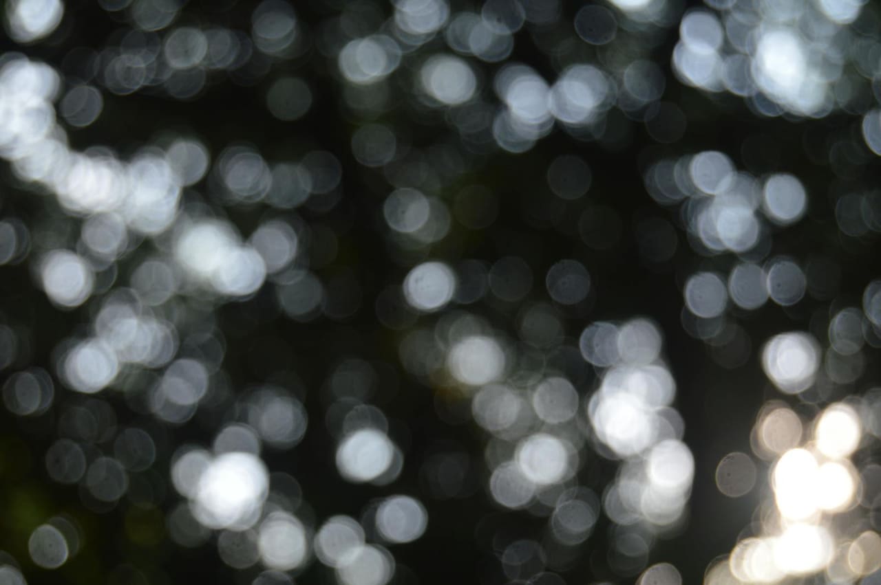 Soft light glowing through leaves.