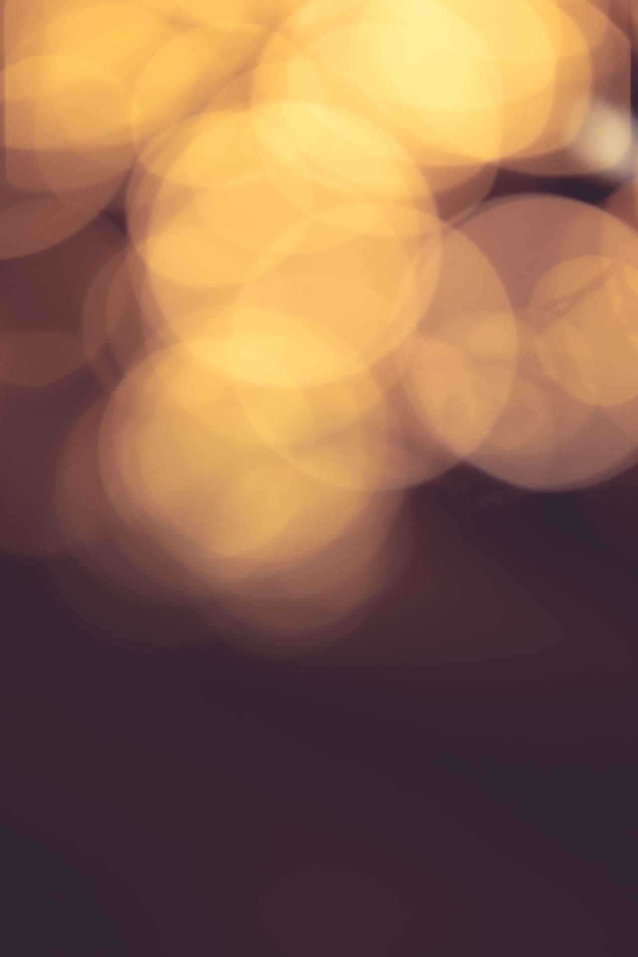 Warm points of light glowing softly in the dark.