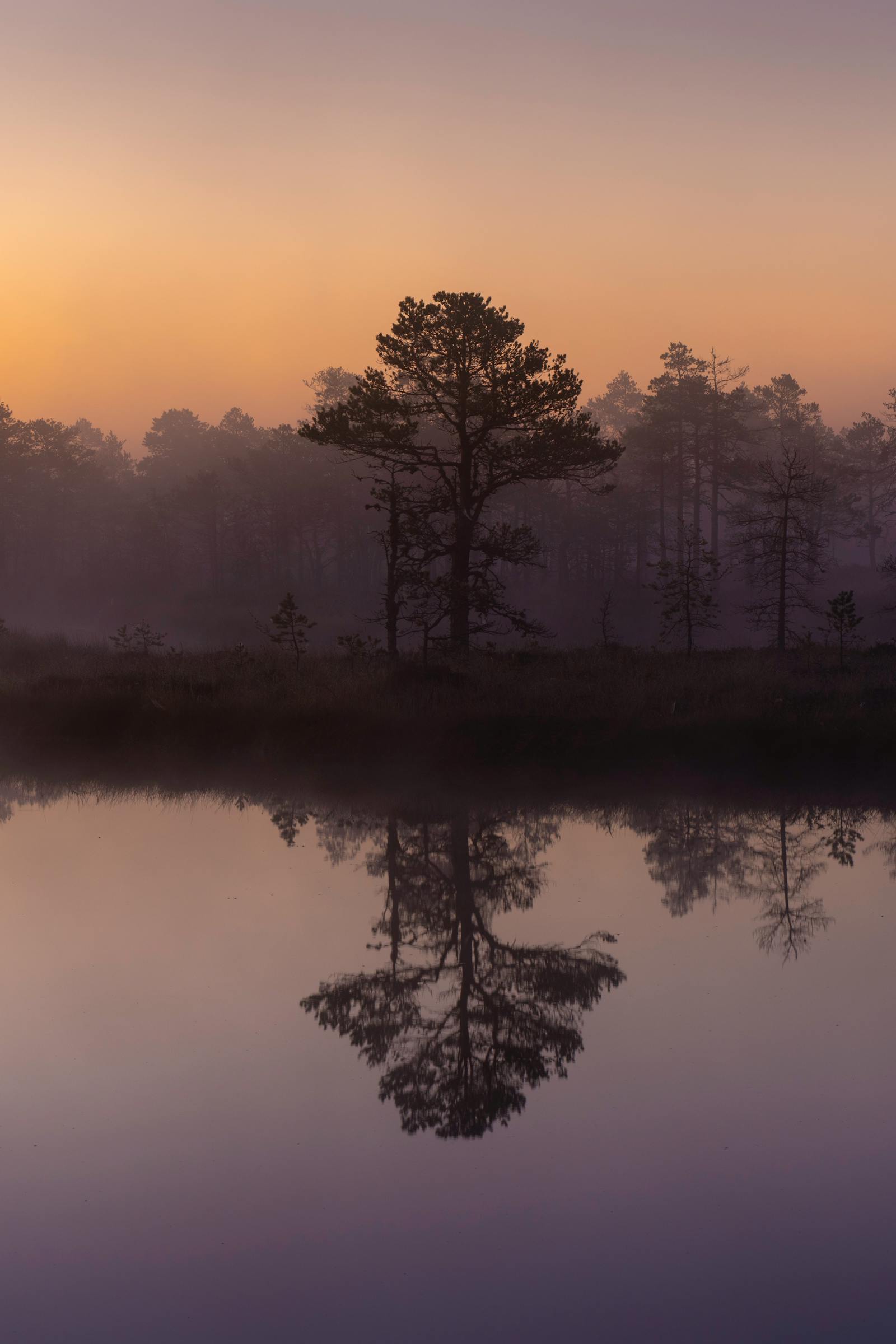 A calm sunrise over a still lake, mist rising from the water.