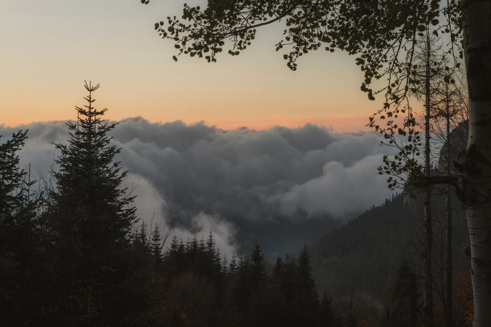 Soft dawn light over misty mountains.